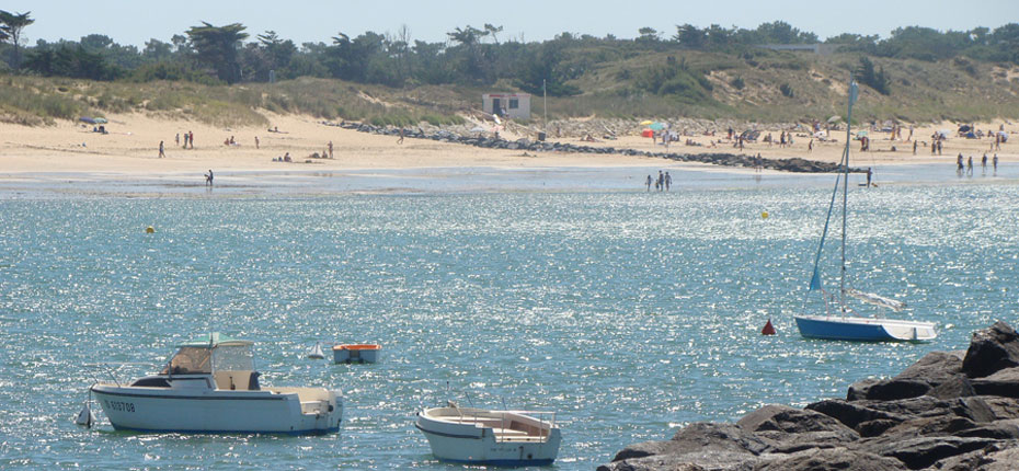 Ne manquez pas les plages de Dolus d'Oléron non loin de notre camping -  