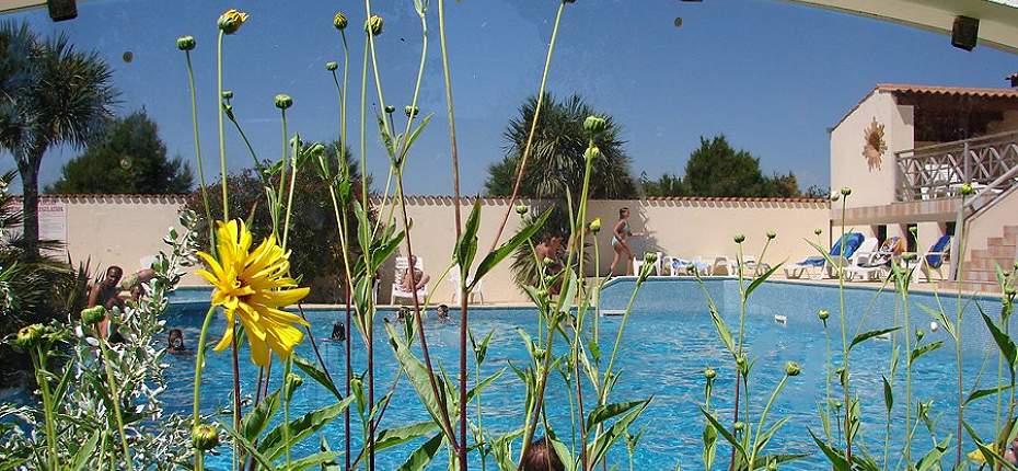 La piscine du camping Barataud sur l'Ile d'Oléron -  